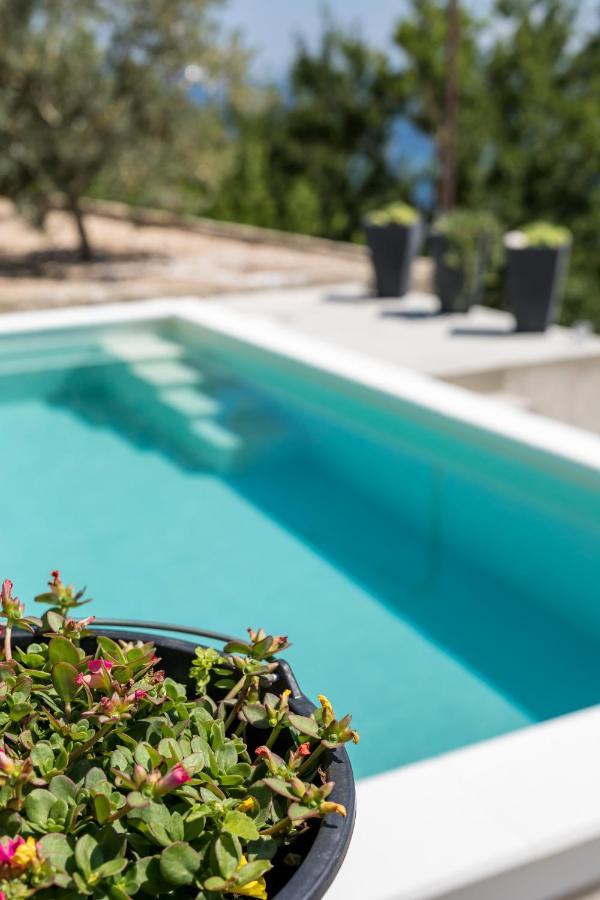 Waterview Apartments W Pool Mimice Eksteriør billede